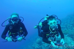 Bonaire 2019